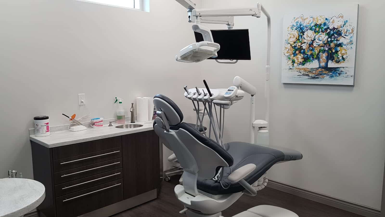 Movable chair for dental treatment along with lights, monitor and other equipment