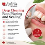 Deep Cleaning Root Planing and Scaling